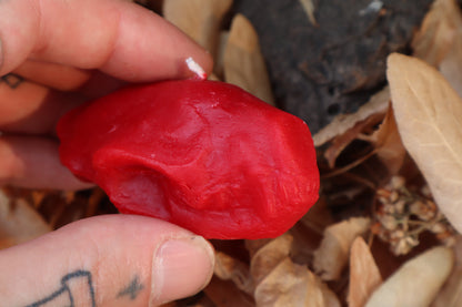 Skunk Skull Candle - Red Beeswax