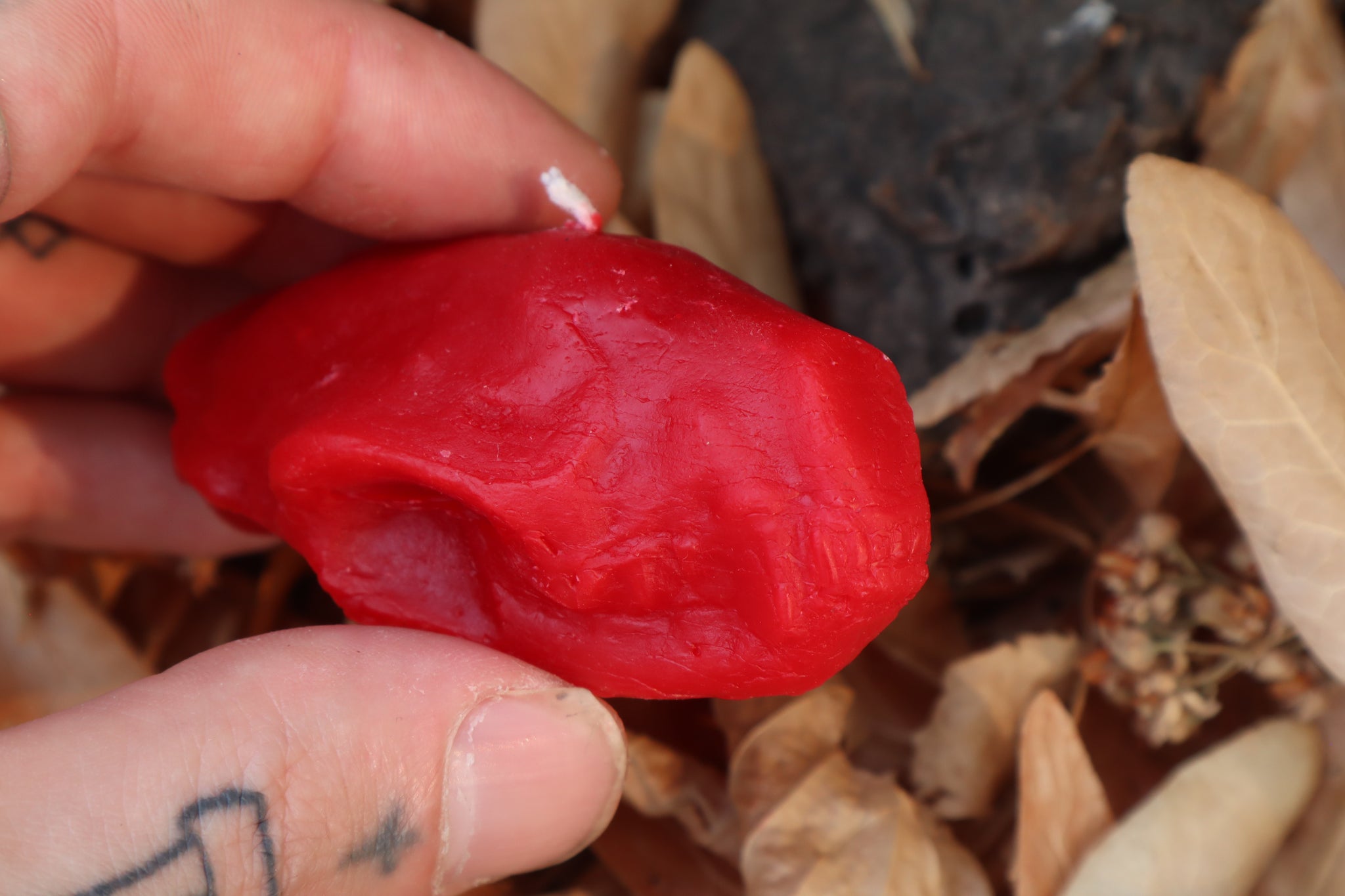 Skunk Skull Candle - Red Beeswax