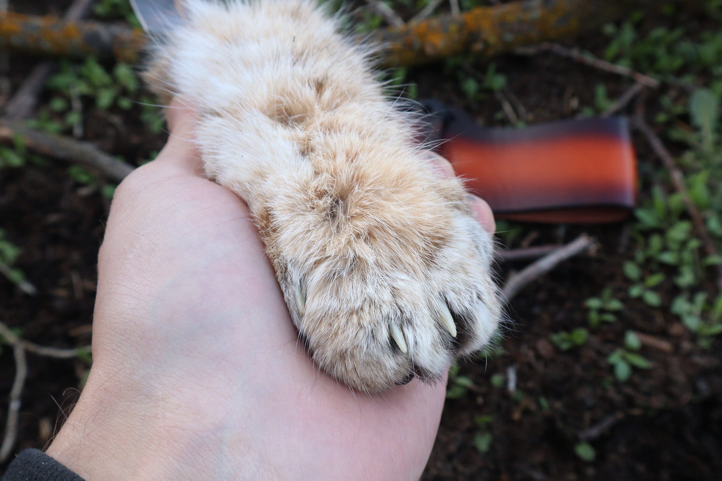XL Bobcat Paw Knife and Sheath