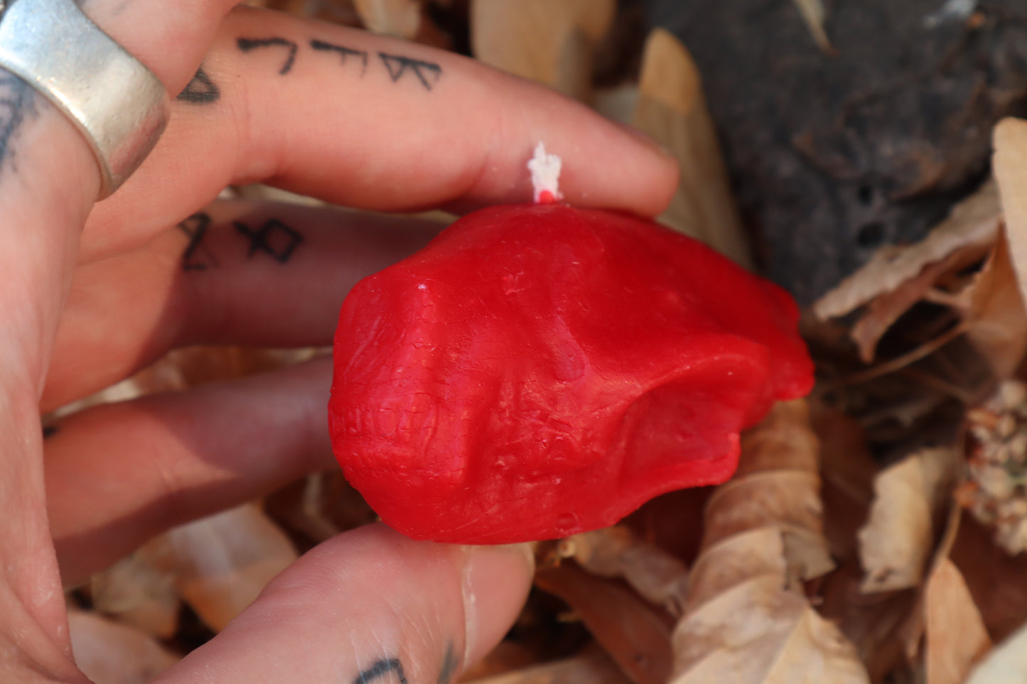 Skunk Skull Candle - Red Beeswax