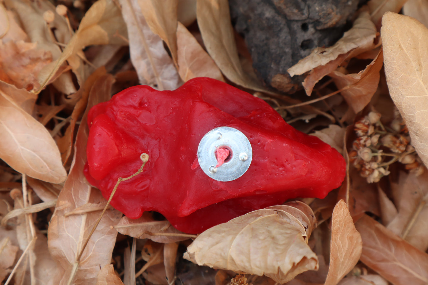 Skunk Skull Candle - Red Beeswax