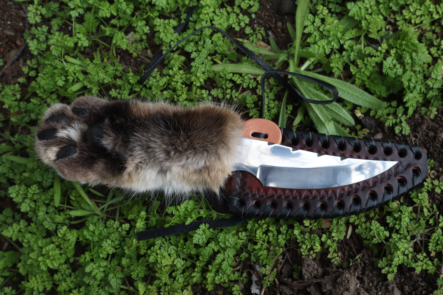 XL Bobcat Paw Knife and Sheath