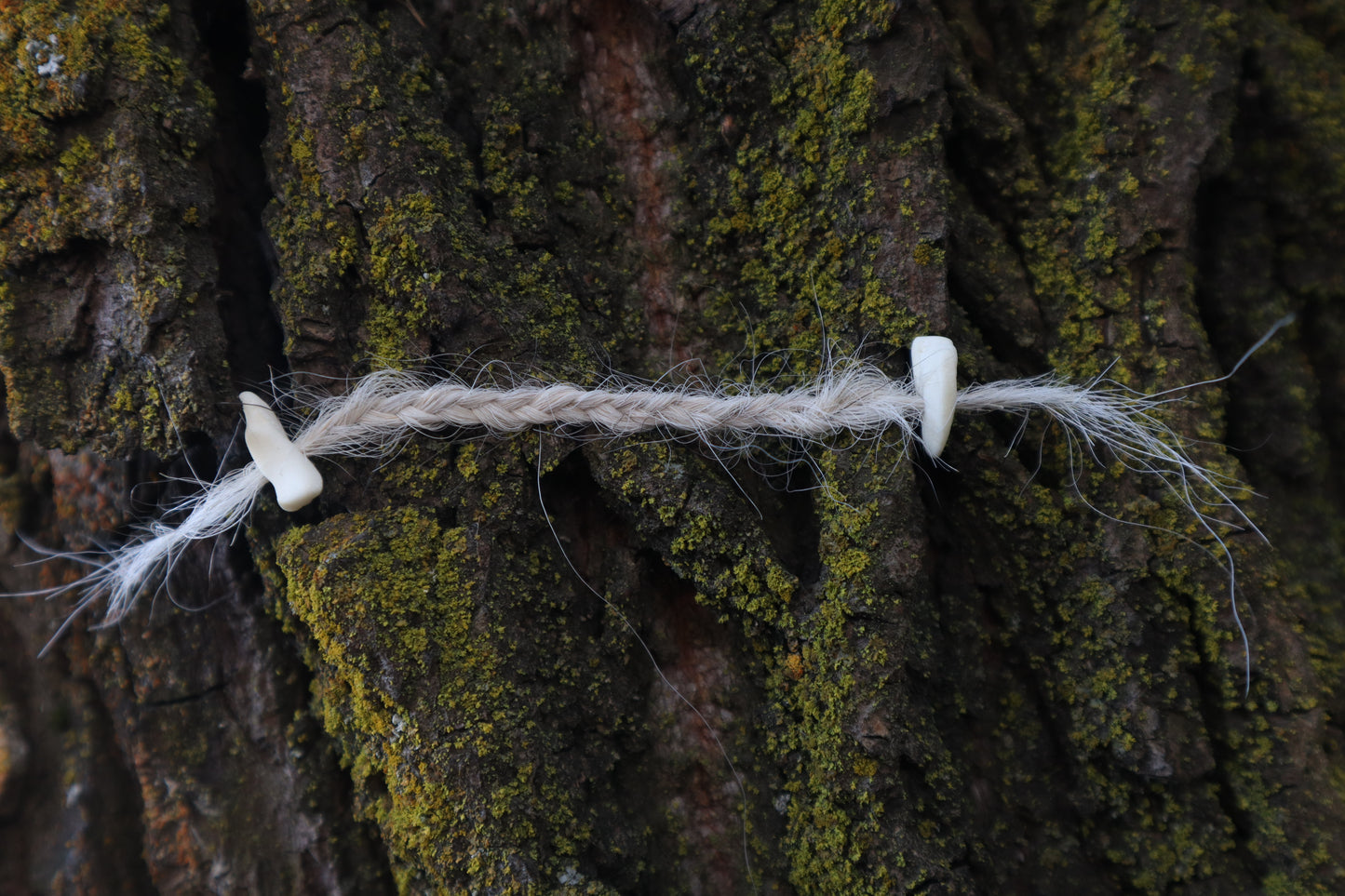 Gray Wolf Hair Braid with Black Wolf Bone Beads