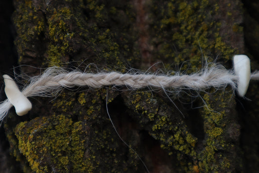 Gray Wolf Hair Braid with Black Wolf Bone Beads