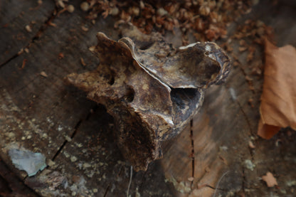 Nifhel Knife with Sacrum Stand