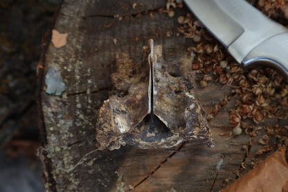 Nifhel Knife with Sacrum Stand