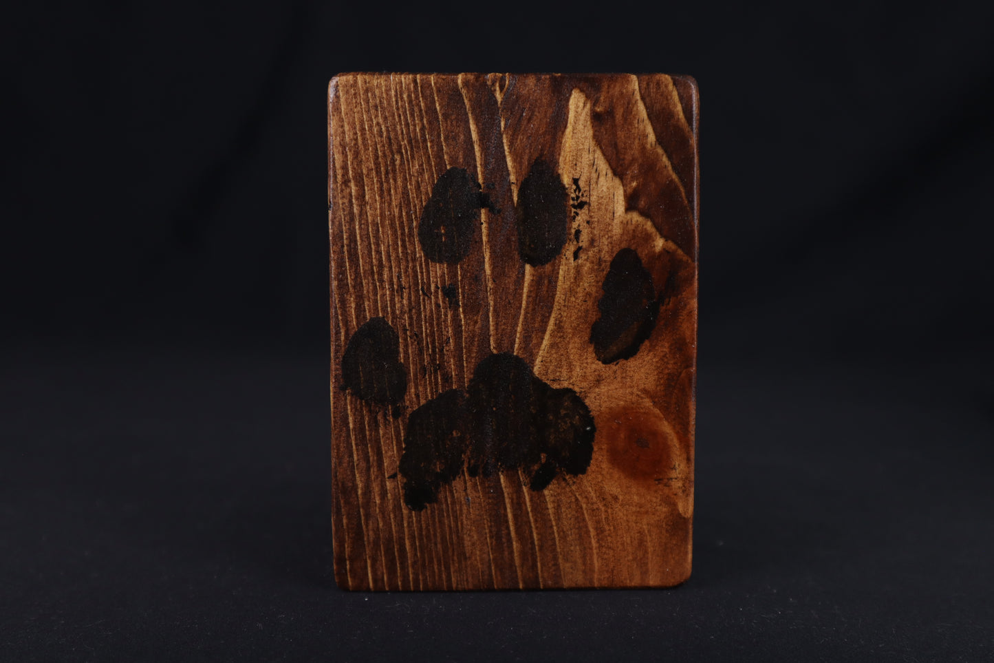 Small Mountain Lion Paw Prints - Set of 4 on Wood