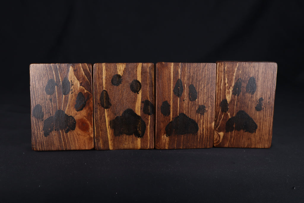 Small Mountain Lion Paw Prints - Set of 4 on Wood
