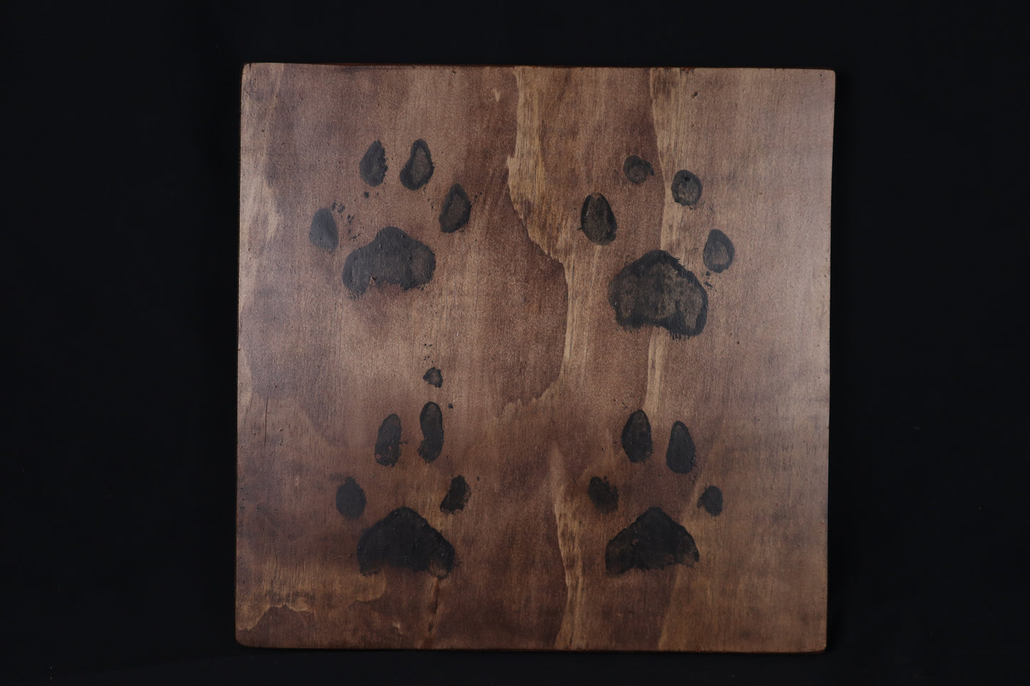 Reserved for Ryn - Large Mountain Lion Paw Prints on Wood