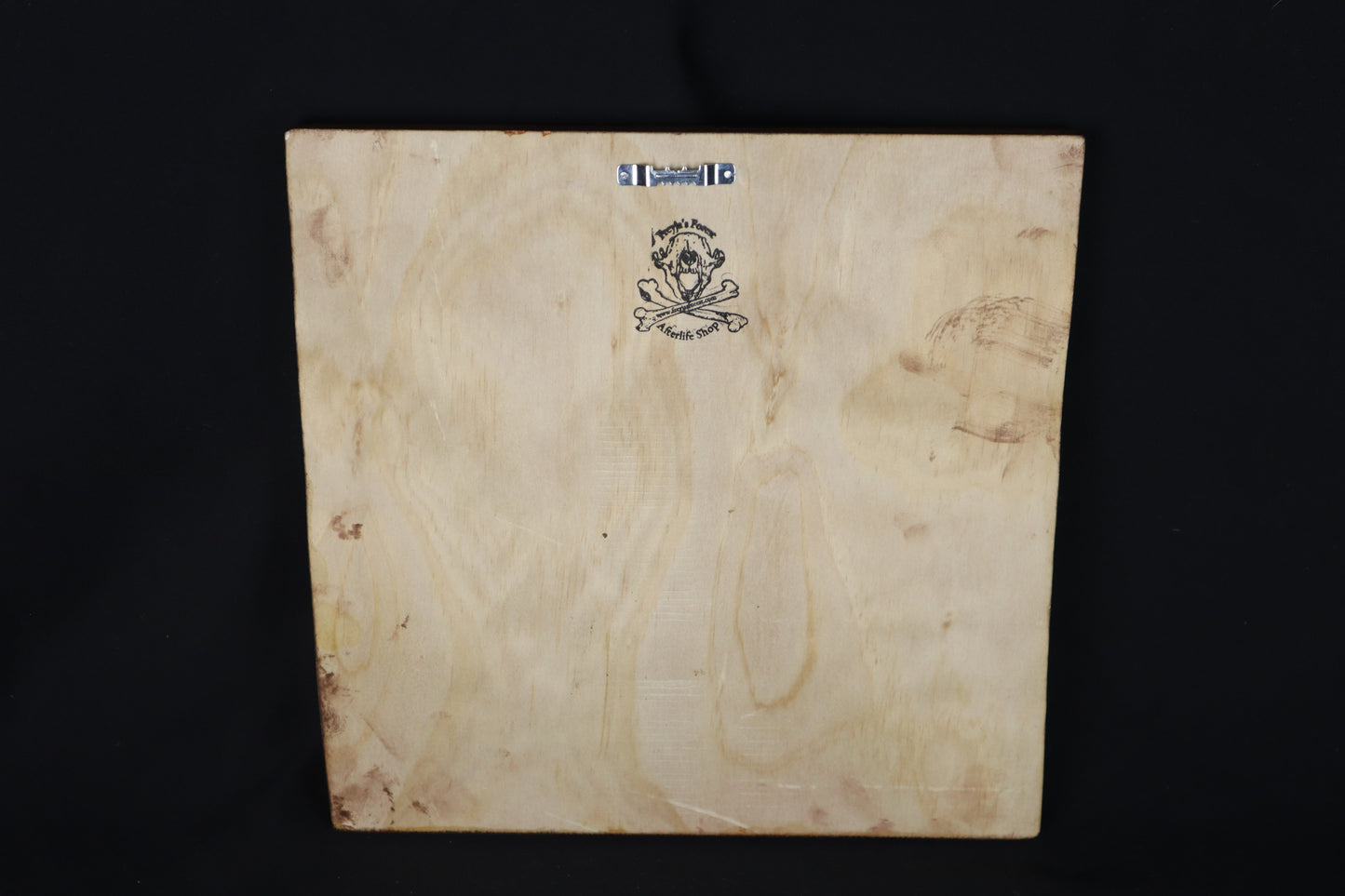 Large Mountain Lion Paw Prints on Wood