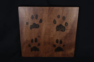 Large Mountain Lion Paw Prints on Wood
