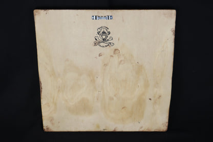 Large Mountain Lion Paw Prints on Wood