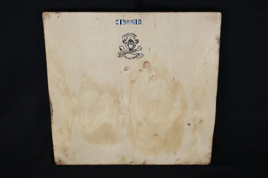 Large Mountain Lion Paw Prints on Wood