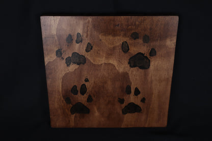 Large Mountain Lion Paw Prints on Wood