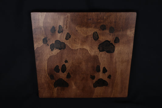 Large Mountain Lion Paw Prints on Wood