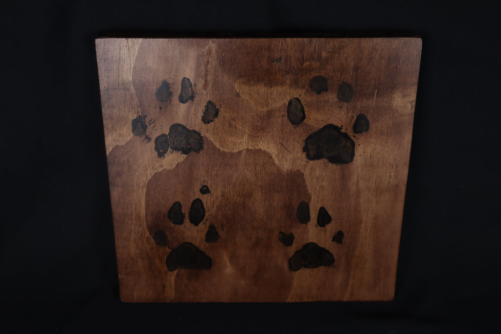Large Mountain Lion Paw Prints on Wood
