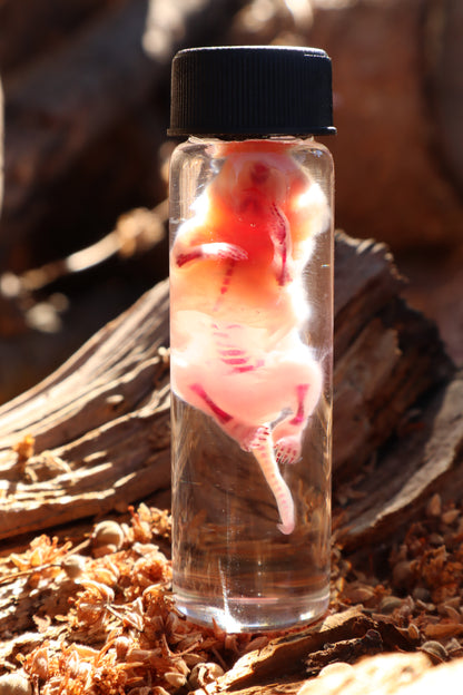 Diaphonized Baby Mouse