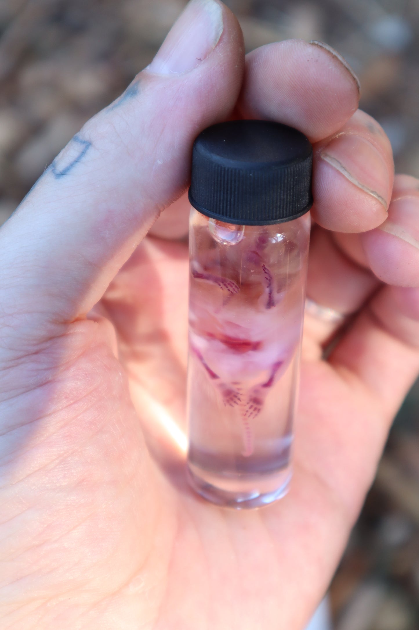 Diaphonized Baby Mouse