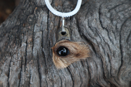 Pine Marten Eyeball Talisman