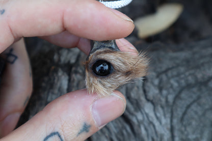 Pine Marten Eyeball Talisman