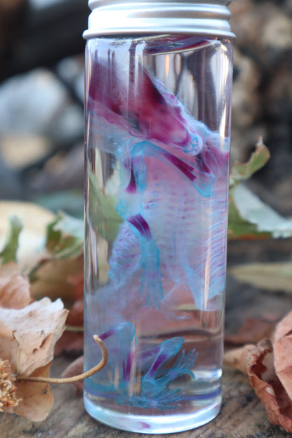 Diaphonized Fetal Coyote Pup