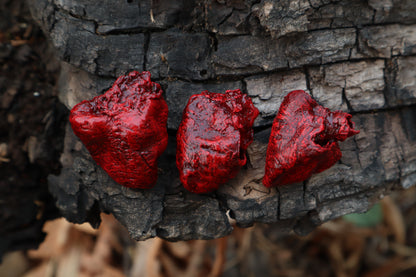 Dry Preserved Chicken Heart