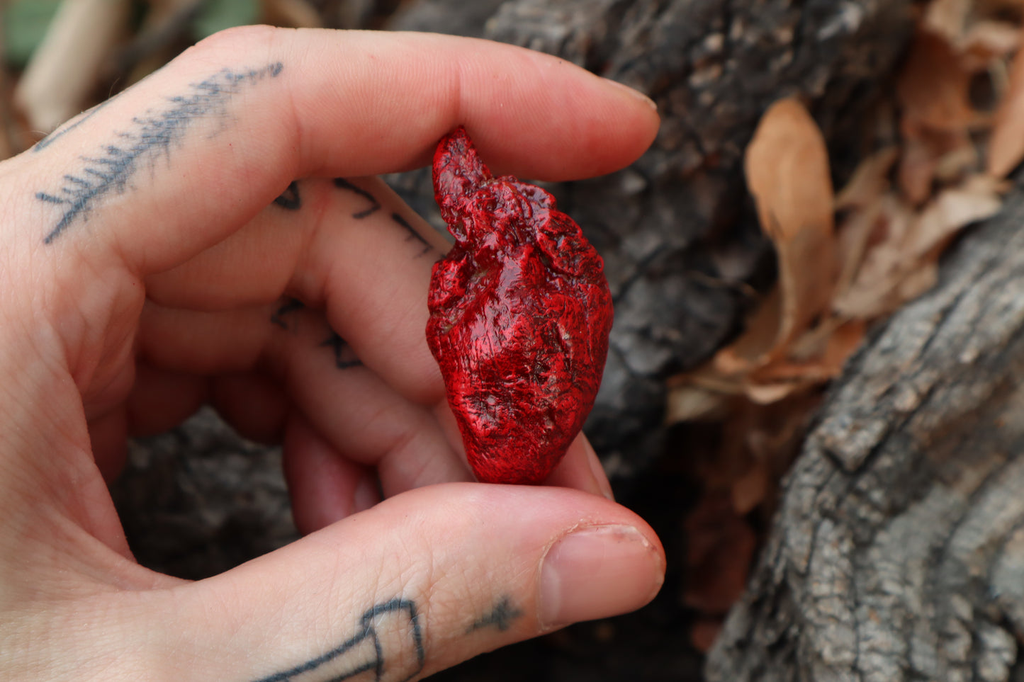 Dry Preserved Chicken Heart