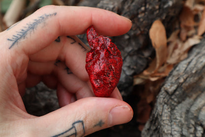 Dry Preserved Chicken Heart