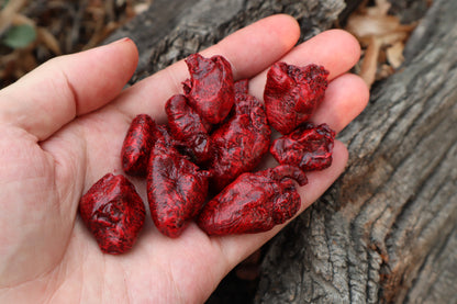 Dry Preserved Chicken Heart