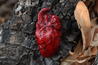 Dry Preserved Chicken Heart