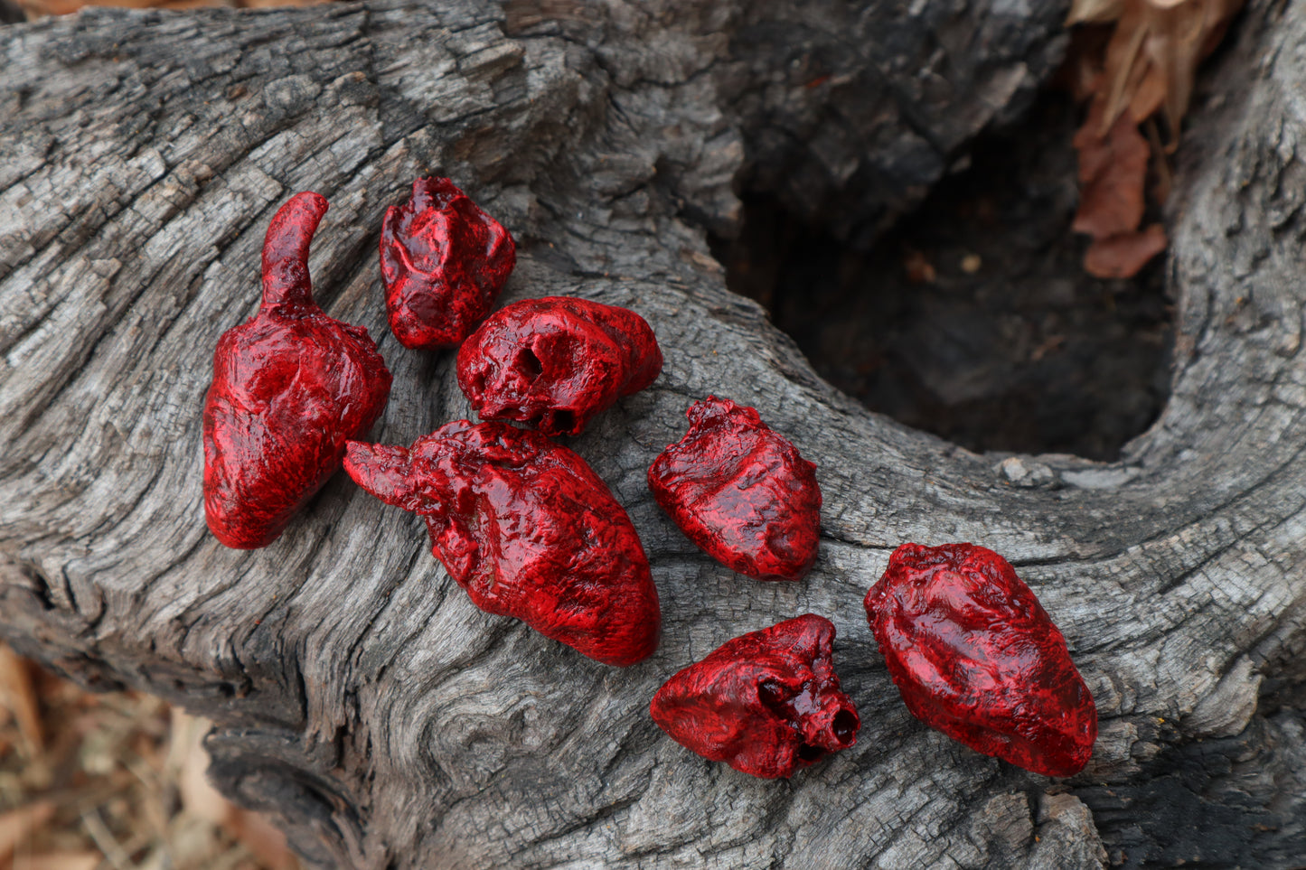 Dry Preserved Chicken Heart