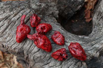 Dry Preserved Chicken Heart