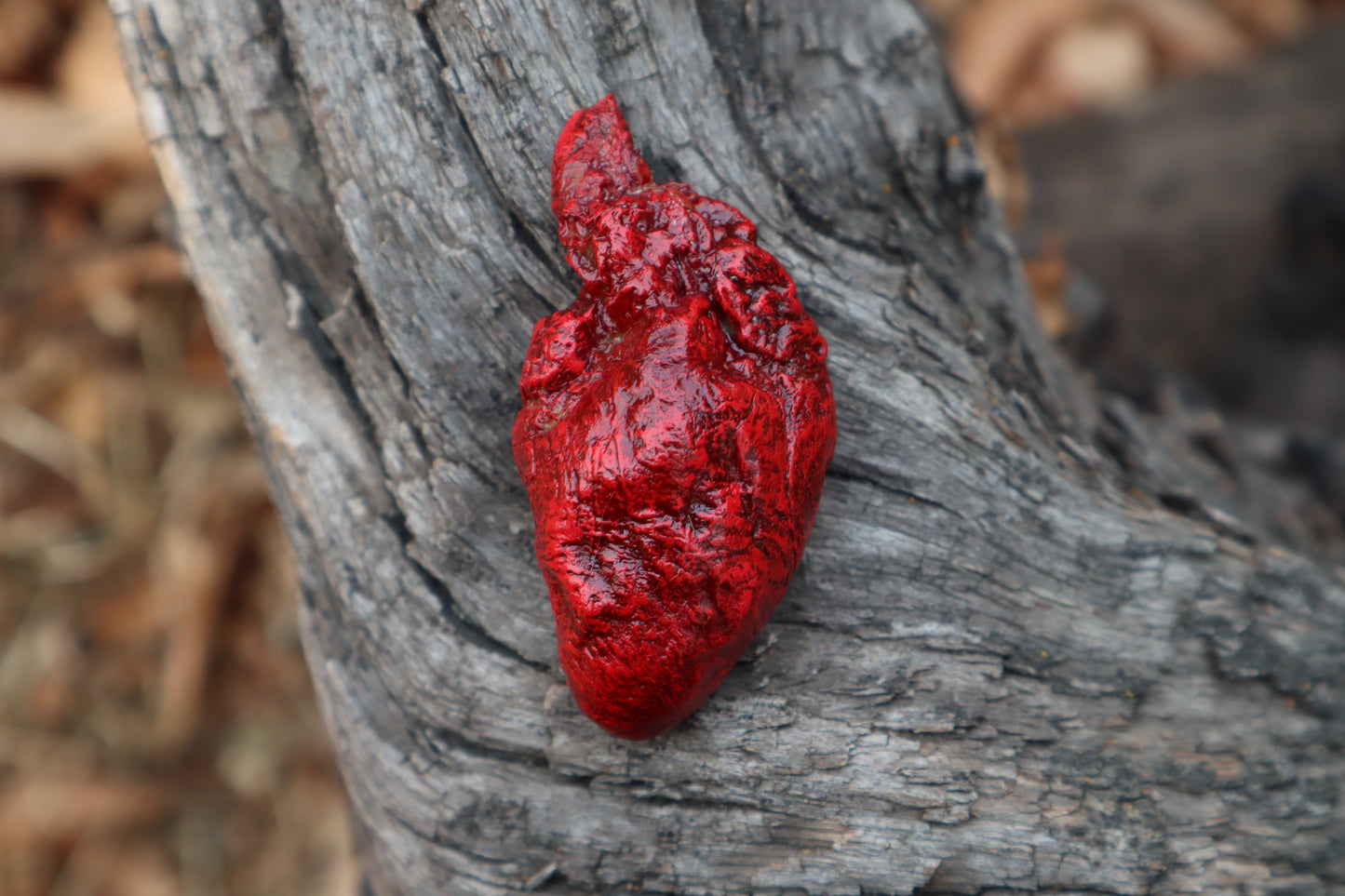 Dry Preserved Chicken Heart
