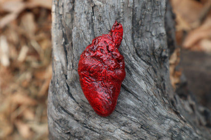 Dry Preserved Chicken Heart