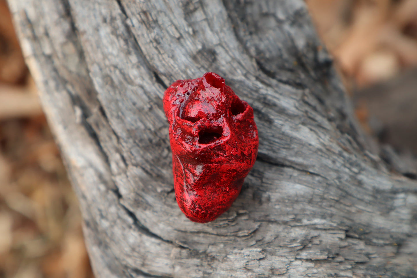 Dry Preserved Chicken Heart