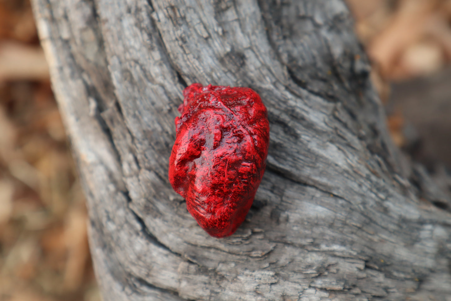 Dry Preserved Chicken Heart