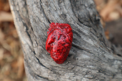 Dry Preserved Chicken Heart
