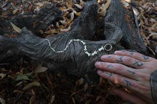 Fluid Striped Skunk Tail Articulation with Ouroboros Ring