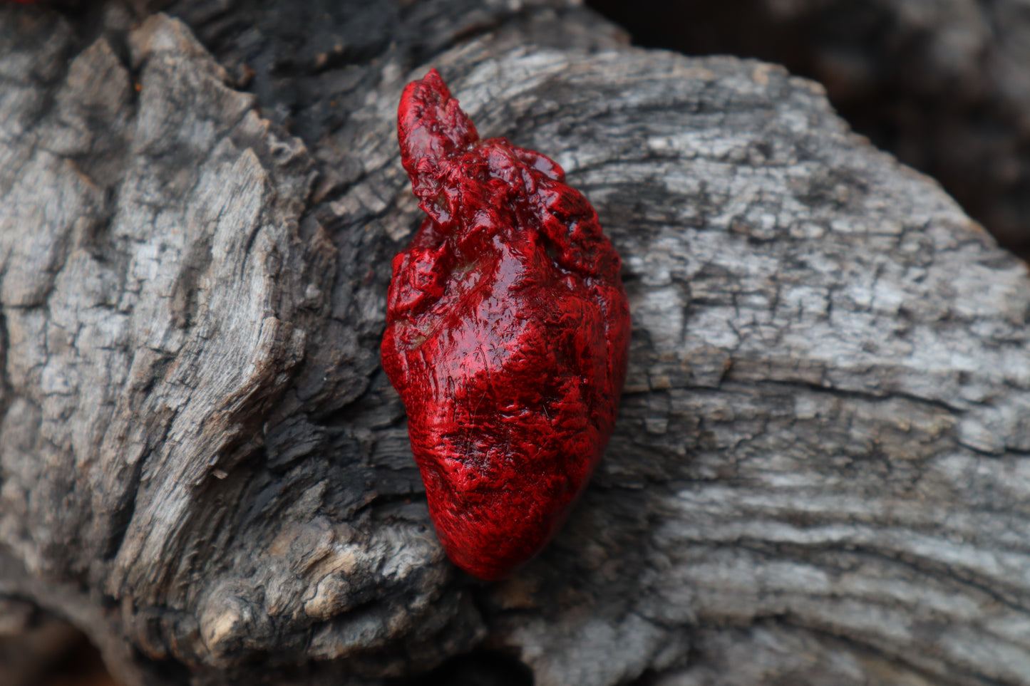 Dry Preserved Chicken Heart