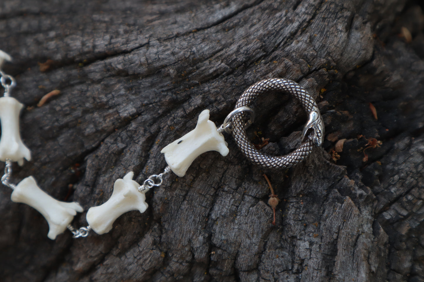 Fluid Striped Skunk Tail Articulation with Ouroboros Ring