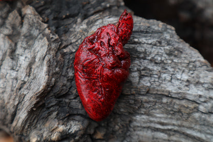 Dry Preserved Chicken Heart