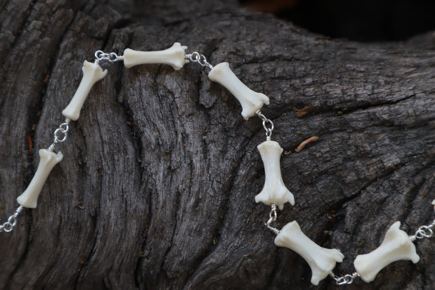 Fluid Striped Skunk Tail Articulation with Ouroboros Ring