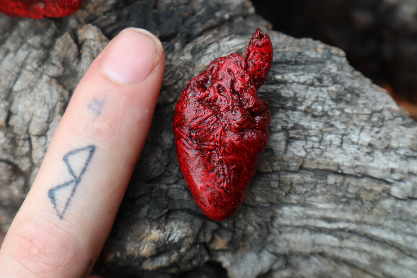 Dry Preserved Chicken Heart