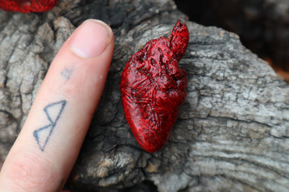 Dry Preserved Chicken Heart