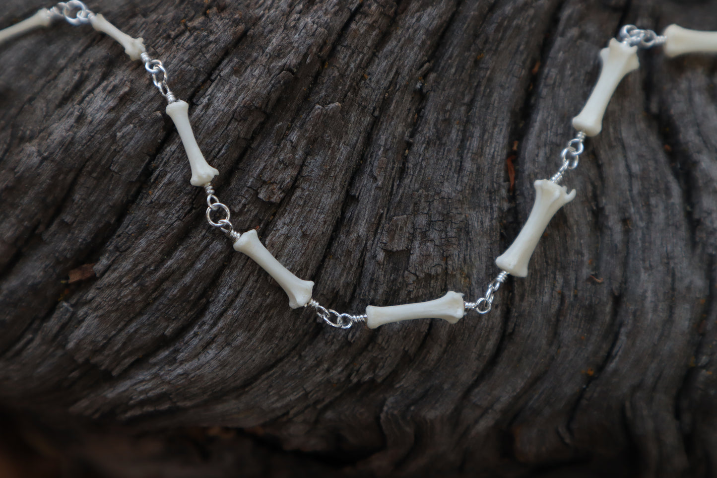 Fluid Striped Skunk Tail Articulation with Ouroboros Ring