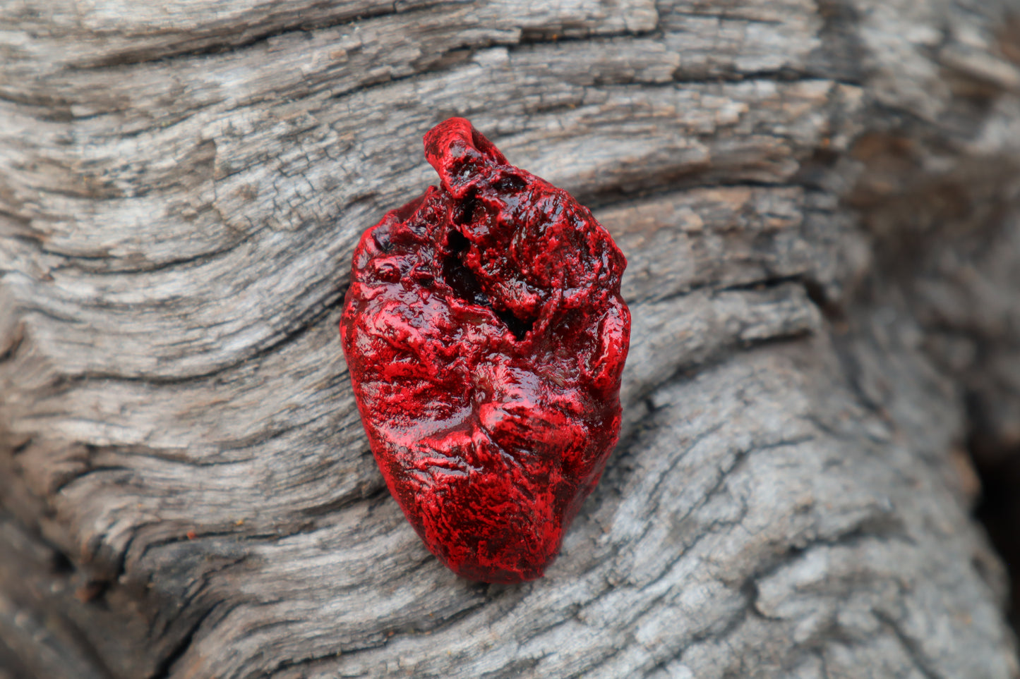 Dry Preserved Chicken Heart