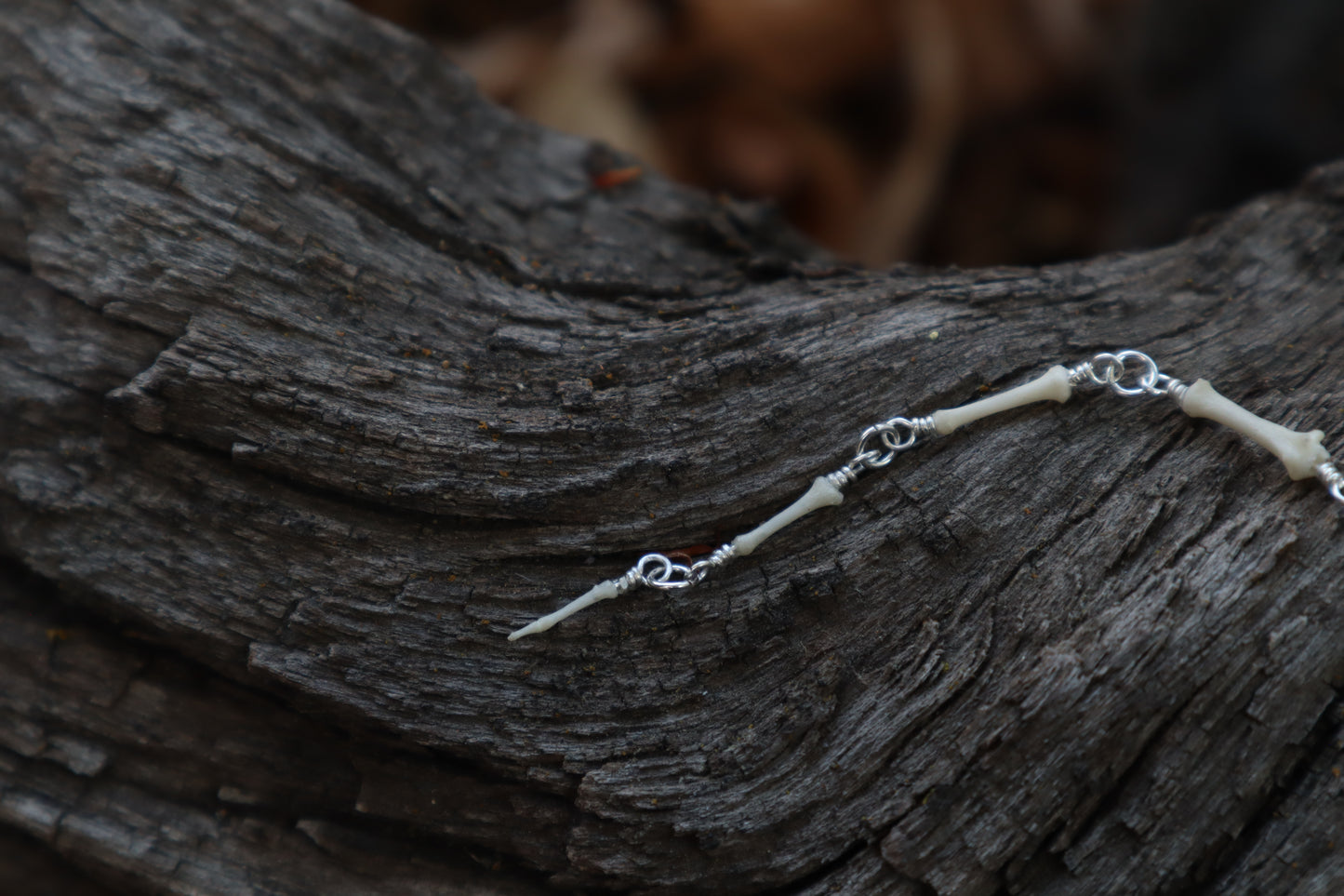 Fluid Striped Skunk Tail Articulation with Ouroboros Ring