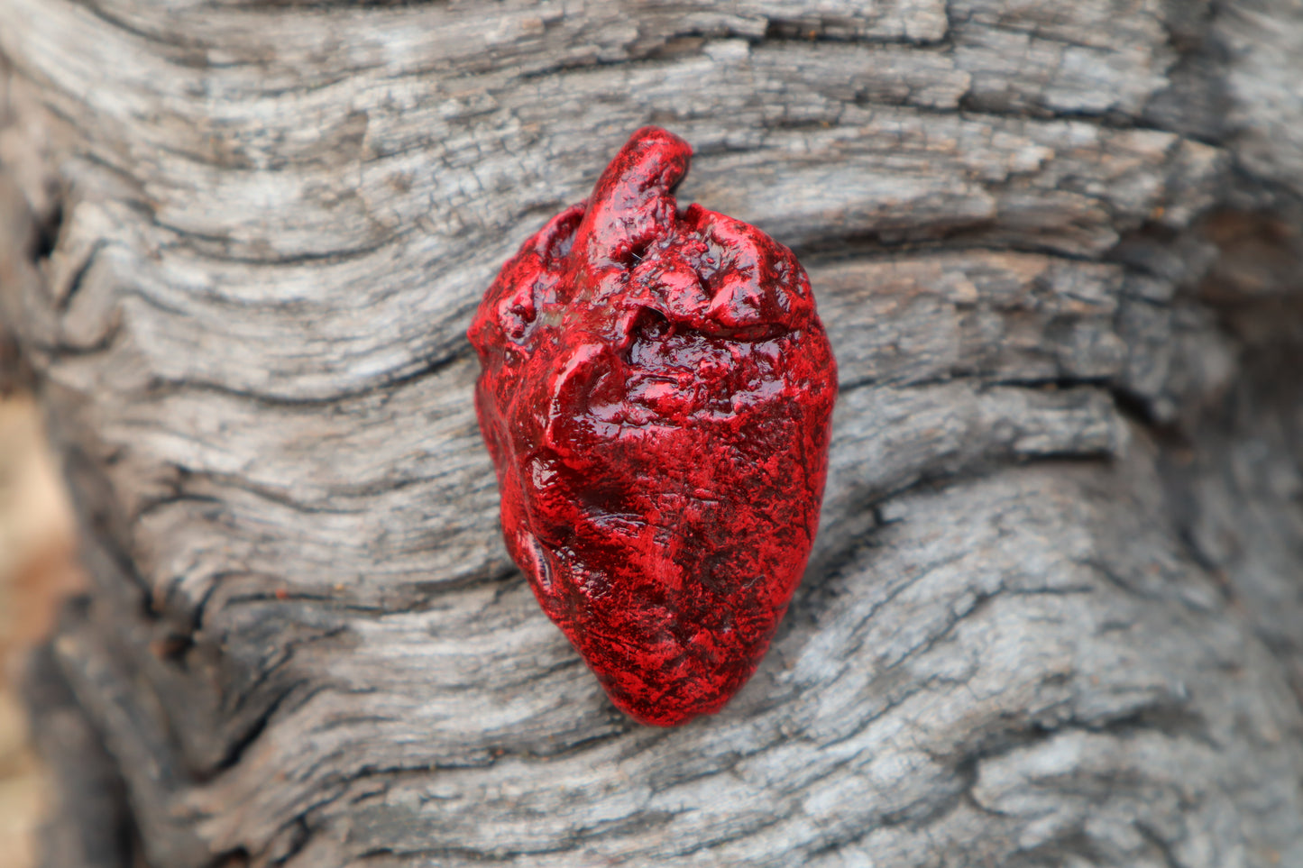 Dry Preserved Chicken Heart