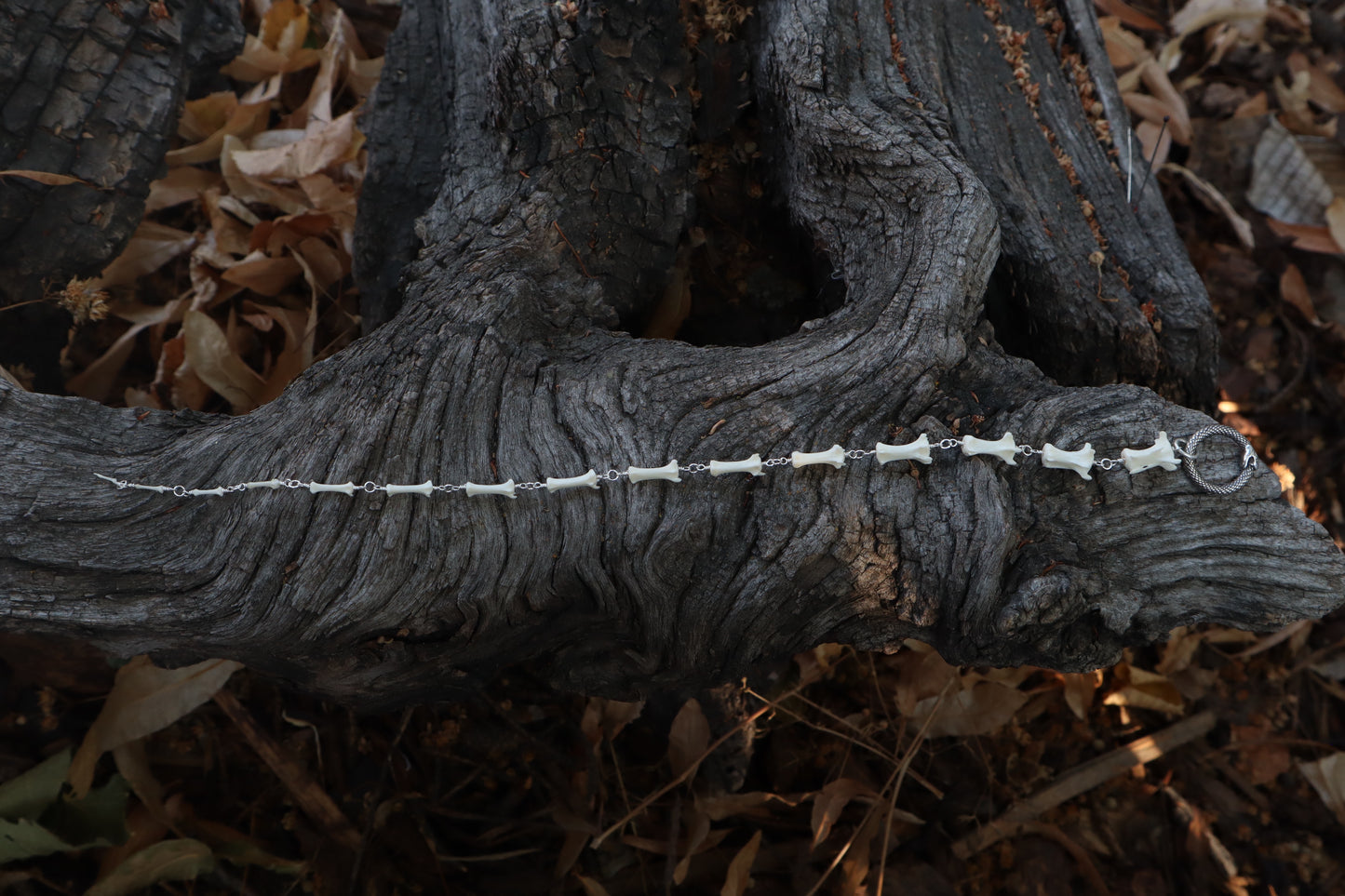 Fluid Striped Skunk Tail Articulation with Ouroboros Ring