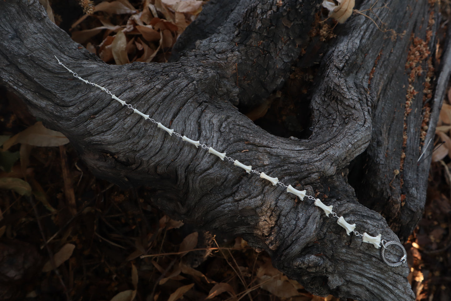 Fluid Striped Skunk Tail Articulation with Ouroboros Ring